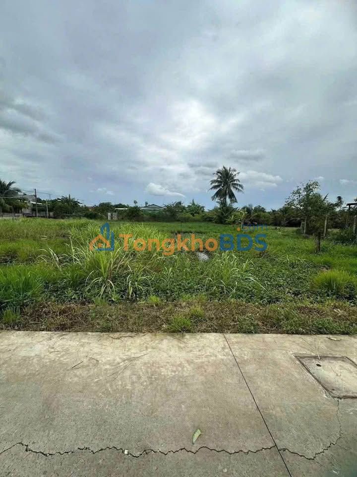 Bán Đất Thổ Cư 125m² Đường Vũ Tiến Trung, Tân An, Long An - Giá 600 Triệu