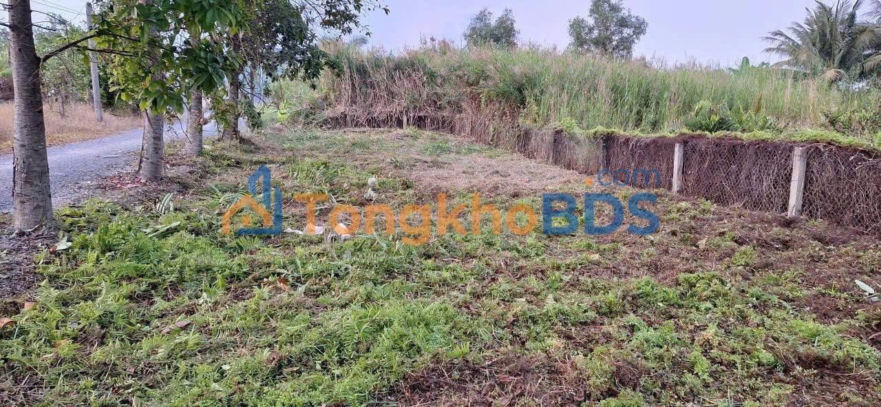 Bán Đất Thổ Cư Long An 300m² - Lô Góc Mặt Tiền Nguyễn Văn Đường