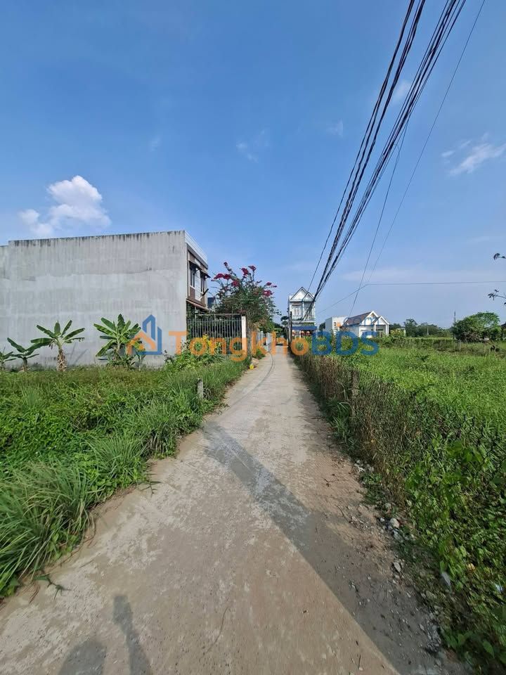 Đất Vườn 1000m² Sổ Hồng Chính Chủ Tại Cần Giuộc, Long An - Giá Tốt 1.85 Tỷ