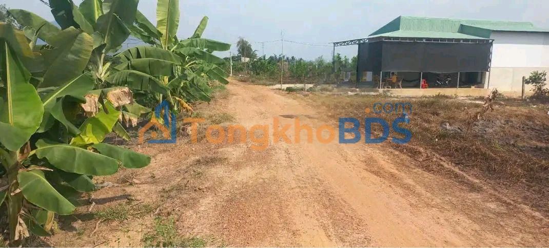 Bán đất 1117m² đất nền Tỉnh Tây Ninh - Sổ đỏ sẵn sàng