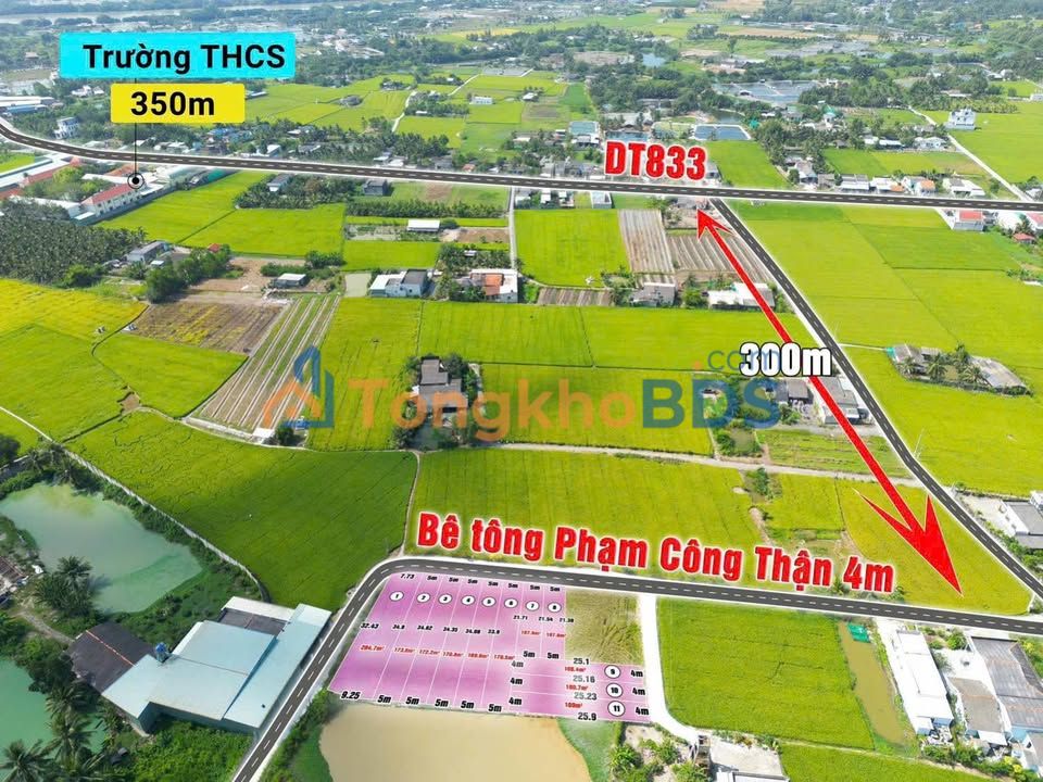 Đất Nền Tân Trụ Long An - Sổ Đỏ Rõ Ràng, Giá Chỉ Từ 330 Triệu