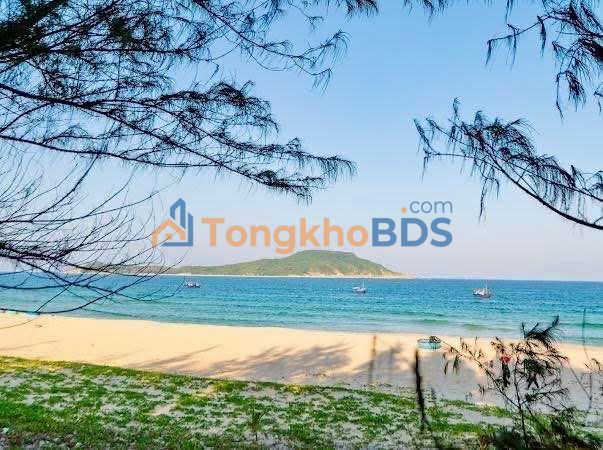 Đất nền Xóm Cát An Lĩnh 800m² 3.2 tỷ - Sổ đỏ chính chủ