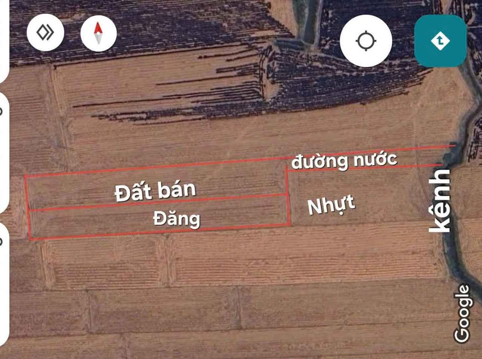 Bán Gấp 7200m² Đất Ruộng An Giang - Giá 720 Triệu Chính Chủ