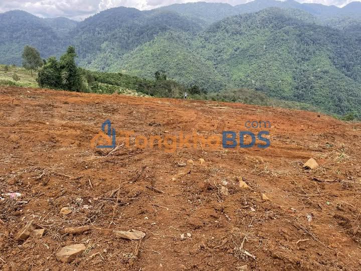 Đất nền Bảo Lâm 10ha - Sổ hồng sẵn, đất triền đẹp, giá 15 tỷ