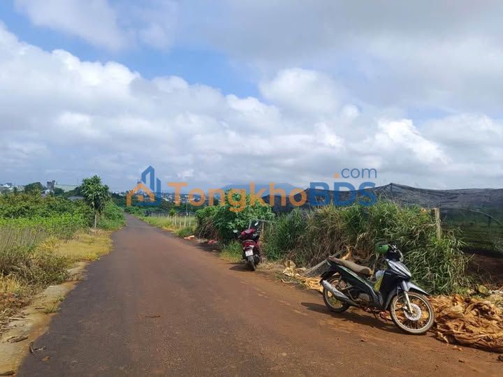 Đất Thổ Cư 2000m² Mặt Tiền Nguyễn An Ninh, Bảo Lộc - Giá 9 Tỷ