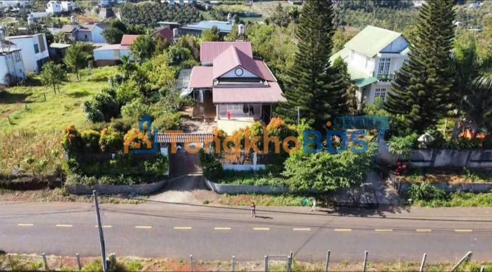 Nhà Mặt Tiền Nguyễn Trãi, Bảo Lộc - Sân Vườn Rộng 1000m², Giá 7.5 Tỷ