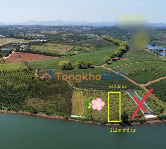 Đất Nền TP Bảo Lộc 221.6m² - Hạ Chốt Giá Sốc Chỉ 2.6 Tỷ