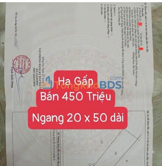 Đất Xào Lộc Phú, Bảo Lâm - 3600m² Sổ Hồng Giá F0 Chỉ 450 Triệu