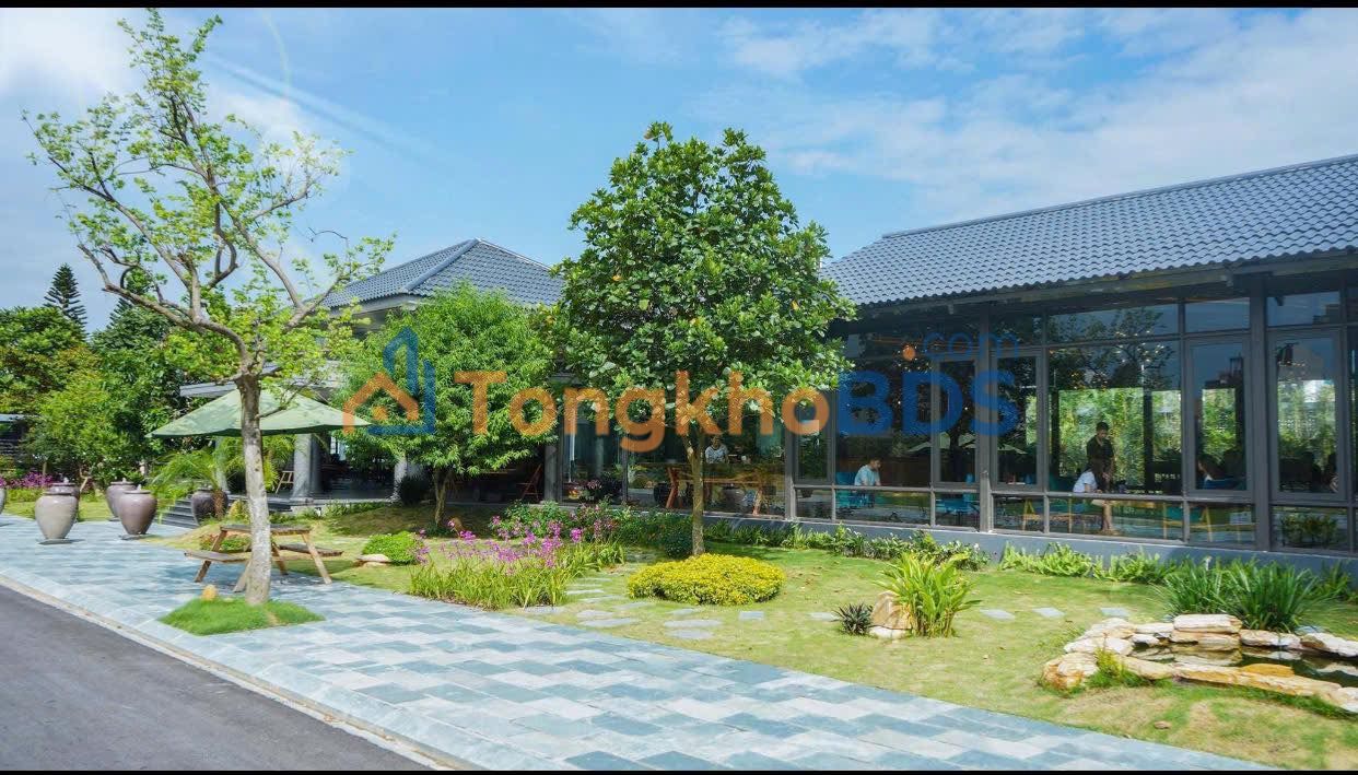 Cho thuê mặt bằng kinh doanh Lạch Tray 1000m² - Phù hợp nhà hàng, cafe