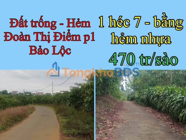Đất Vườn 17.000m² - Hẻm Đoàn Thị Điểm, Bảo Lộc - Sổ Hồng Sẵn Sàng