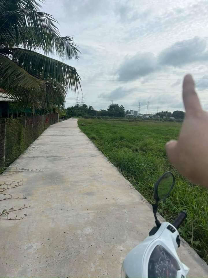 Bán đất lúa 8500m² đường xe hơi tại Châu Thành, Long An - Giá 11 tỷ