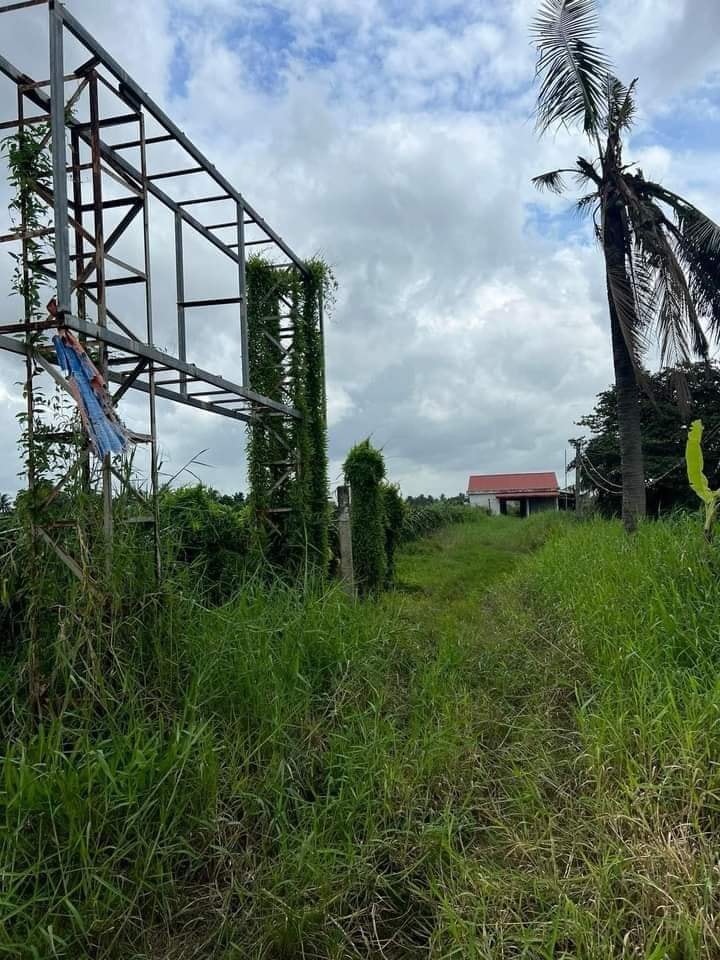 Bán Gấp Đất Lúa 20.000m² Tặng Kho Xưởng Tại Châu Thành, Long An