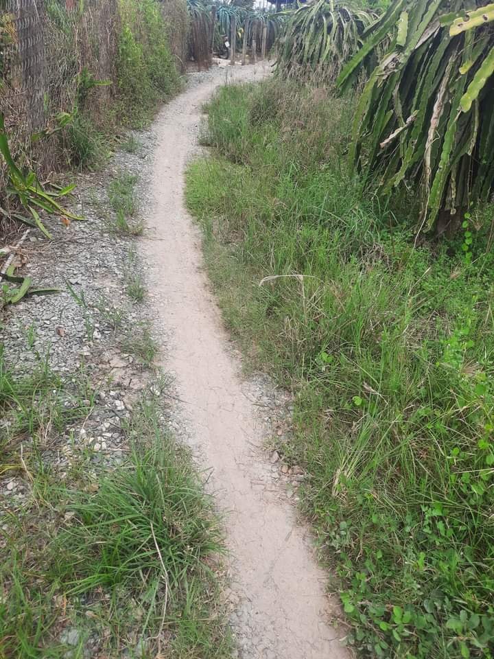 Đất Nền 5000m² Thổ Cư - Dương Xuân Hội, Long An - Giá Đầu Tư 1.5 Tỷ