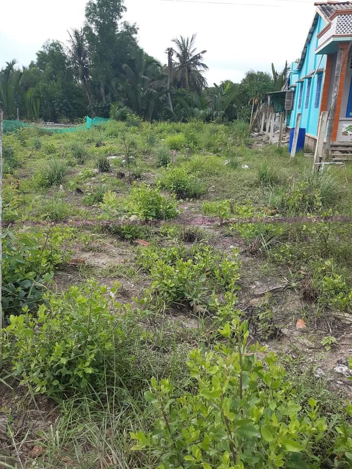 Bán Đất Mặt Tiền Xe Tải Xã Bình An, Châu Thành - 170m² Giá 620 Triệu