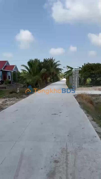 Bán Đất Mặt Tiền Đường Đan Hiệp Hòa, Đức Hòa 296m² - 1.15 Tỷ, Sổ Hồng Sẵn Sàng