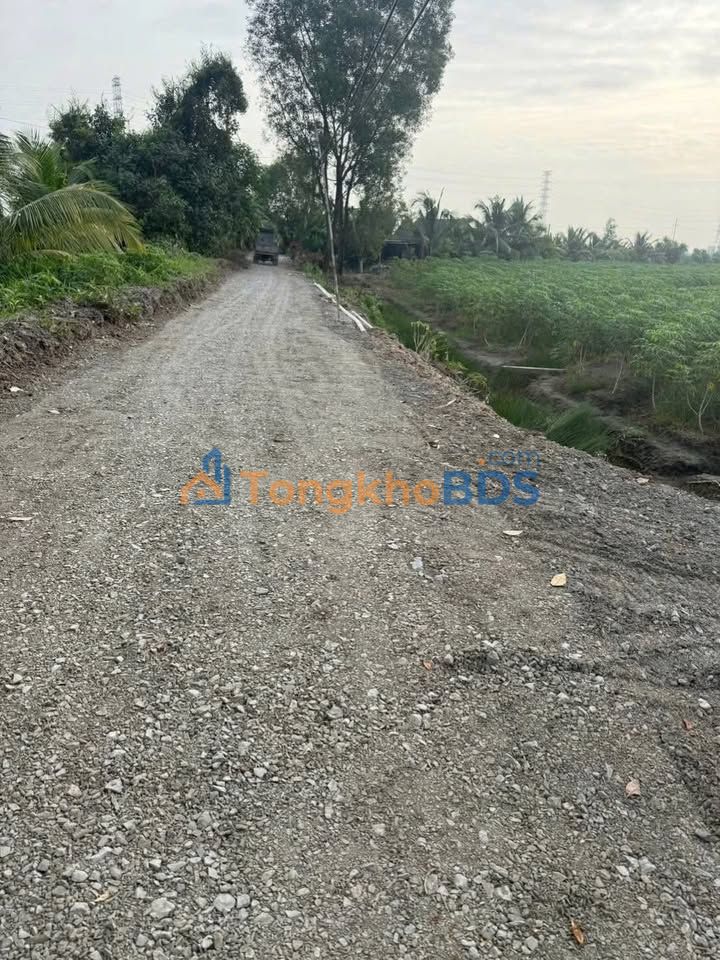 Bán Đất Vườn 2048m² Mặt Tiền Kênh - Bến Lức, Long An - Giá Đầu Tư 850 Triệu