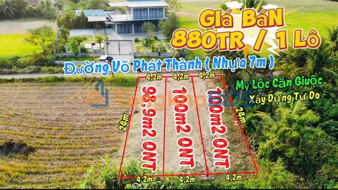 Bán Đất Thổ Cư Cần Giuộc 100m² - 3 Lô Liền Kề Sổ Hồng Riêng