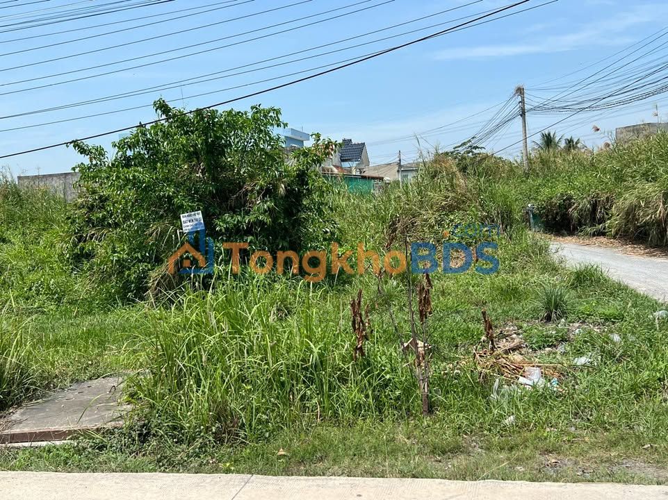 Bán Gấp 2 Nền Thổ Cư Liền Kề Long Hiệp, Bến Lức - Sổ Hồng Sẵn Sàng