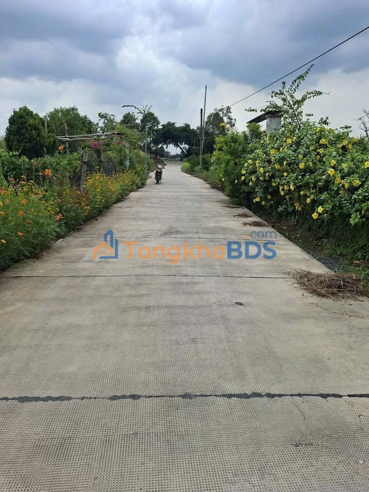 Đất Vườn 649m² Lương Hòa, Long An - Giá 1.55 Tỷ, Sổ Hồng Sẵn Sàng