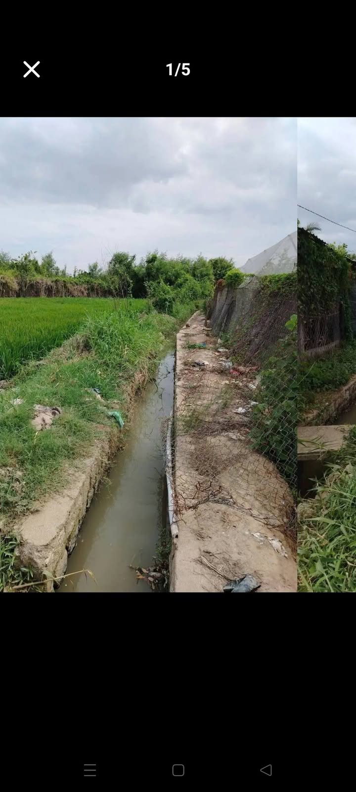 Bán Gấp Đất Vườn 14400m² Hướng Đông - Ninh Phước, Ninh Thuận - Giá Tốt