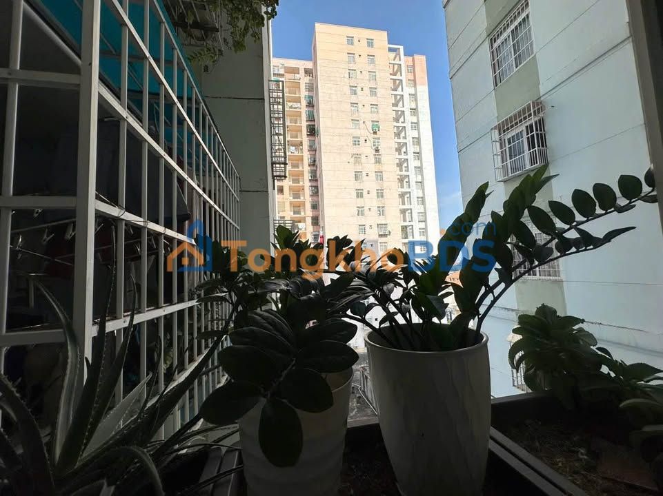 Căn hộ Seview Vũng Tàu 63m² - Full Nội Thất, Giá 2.3 Tỷ