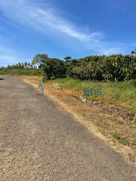 Đất Nền Lộc An, Bảo Lâm 110m² - 2 Mặt Tiền Đường Nhựa, Sẵn Sổ Hồng