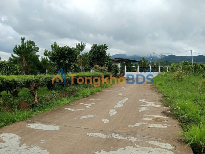 Đất Nền Bảo Lộc 2.5 Sào - Triền View Đẹp, Mặt Tiền Đường Bê Tông