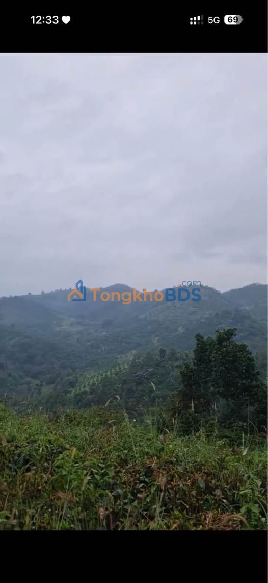 Đất vườn Lộc Thanh 1025m² 6xx triệu - Đường to ô tô