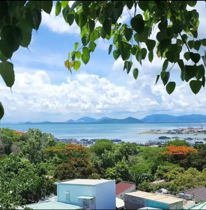 Bán Đất Vũng Tàu 350m² Mặt Tiền Trần Phú - View Biển Đẹp