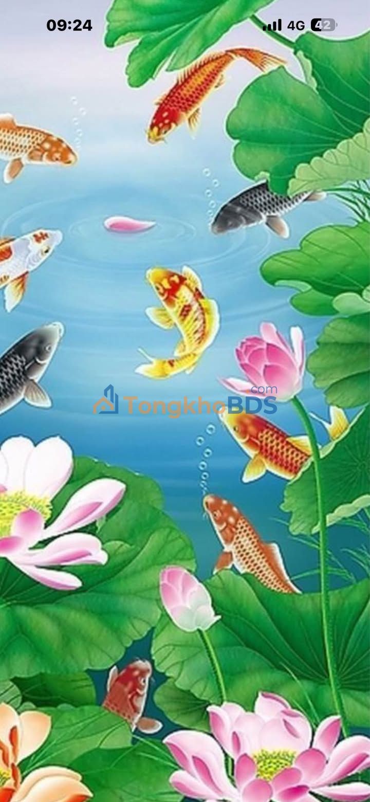 Nhà 2PN Phường Thắng Nhất, Vũng Tàu - Giá 5.5 Triệu/Tháng, Sẵn Nội Thất