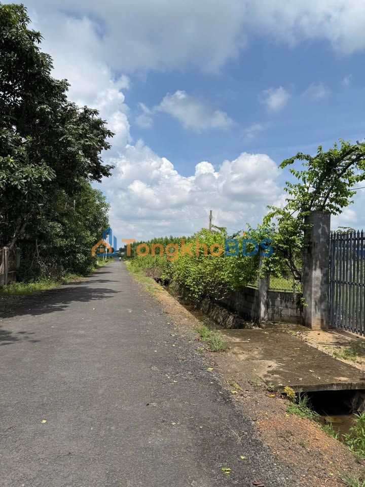 Đất nền Cẩm Mỹ, Đồng Nai 1.154m² - Sổ đỏ sẵn sàng, giá 2.3 tỷ