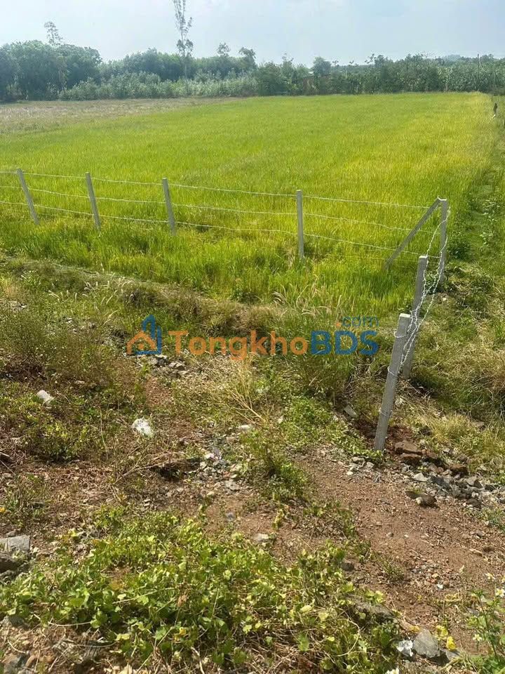 Đất Mặt Tiền Trục Chính 765 Châu Đức - 440m² - Giá 280 Triệu