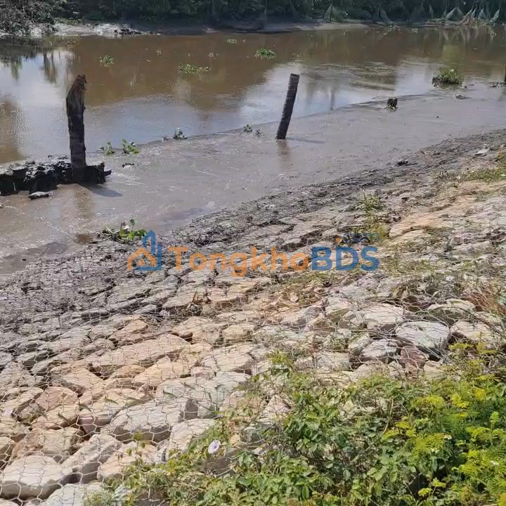 Đất Vườn 6600m² Tân Hiệp, Hóc Môn - Mặt Tiền Đường Ô Tô, Giá Đầu Tư 27.7 Tỷ