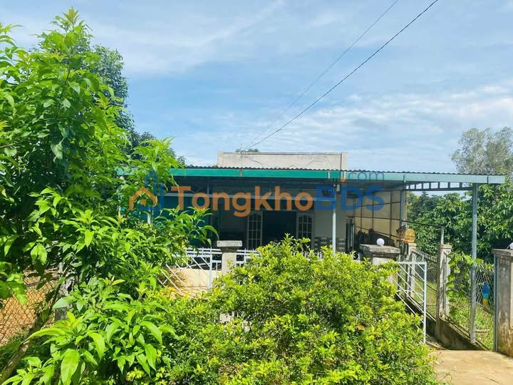 Đất vườn Lộc Đức Bảo Lâm 2.700m² 5,625 tỷ - Sinh thái xanh