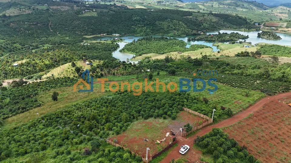 Đất Nền Bảo Lâm 1000m² View Hồ - Sổ Hồng Riêng - Giá 500 Triệu