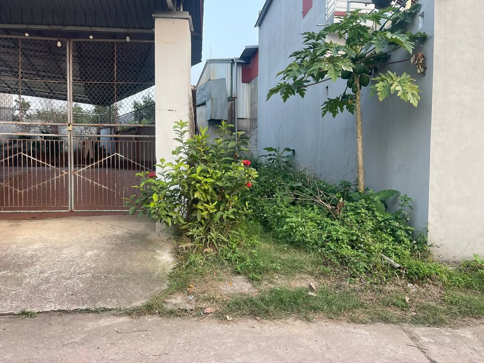 Đất nền 699m² Thôn Hạ, Tân Hiệp - Sẵn sàng tách sổ, tiềm năng đầu tư