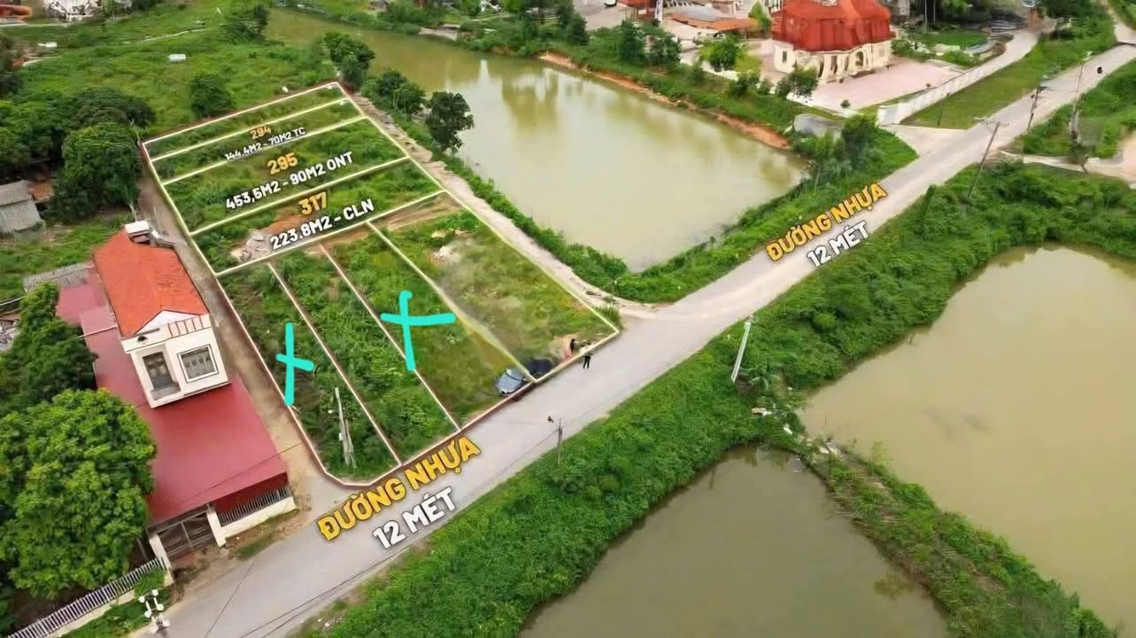 Bán Đất Lục Nam 8400m² - Kinh Doanh Thoải Mái - Sổ Đỏ Thổ Cư 1.25 Tỷ