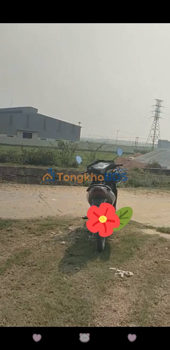 Bắc Giang: Bán Đất Nền 1000m² Sổ Đỏ Chính Chủ Tại Hiệp Hòa - Giá Tốt