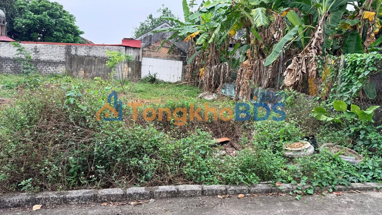 Bán Đất Thường Thắng, Hiệp Hòa, Bắc Giang 109m² - Sổ Đỏ Rõ Ràng