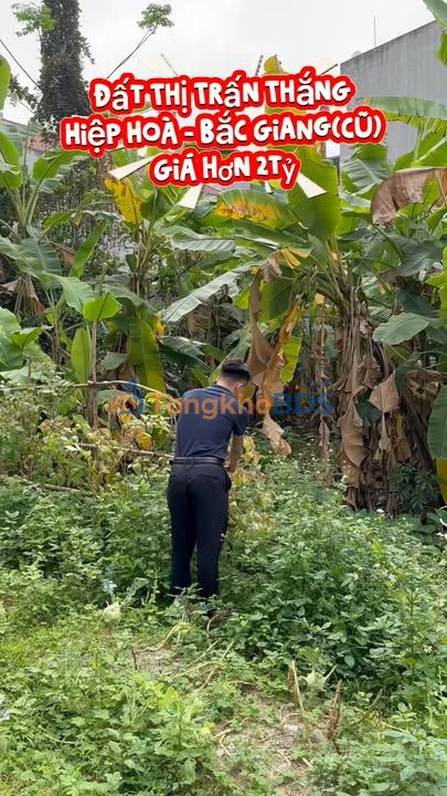 Đất nền Trung tâm Thắng Hiệp Hòa, Bắc Giang - 100m², 2.x Tỷ, Sẵn Sàng Xây Dựng