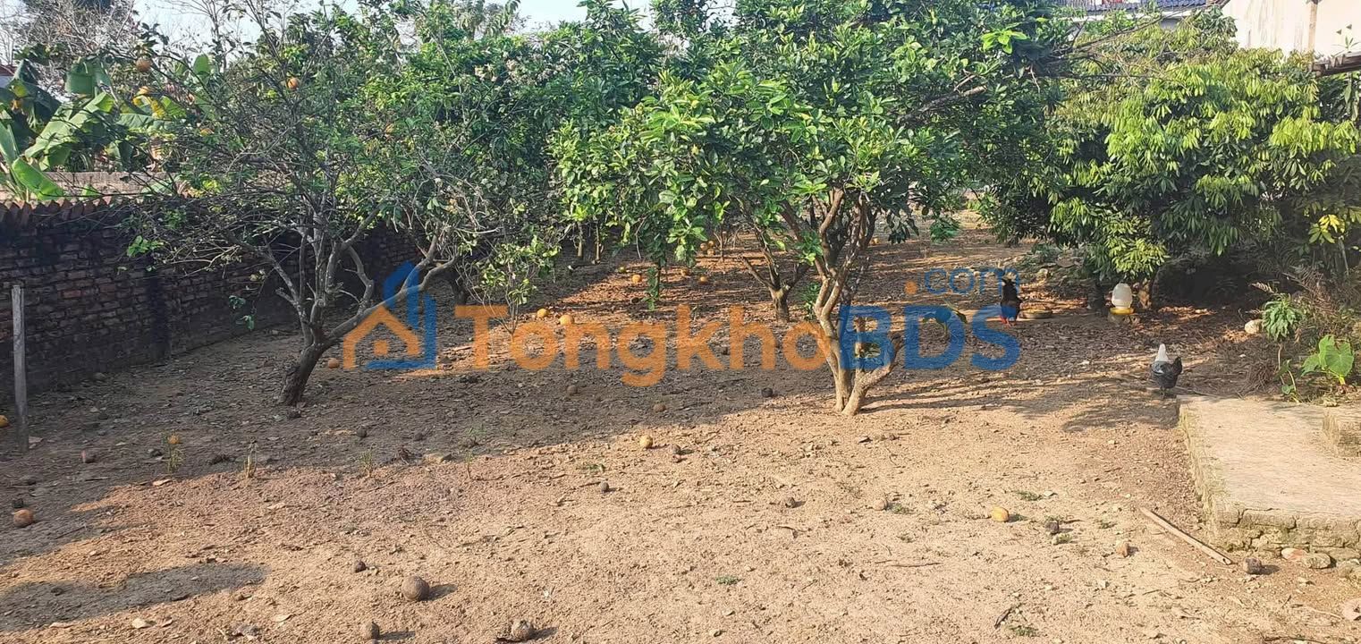 Đất nền Ngọc Sơn, Hiệp Hòa, Bắc Giang - 247m² - Sổ đỏ thổ cư, ô tô vào tận nơi