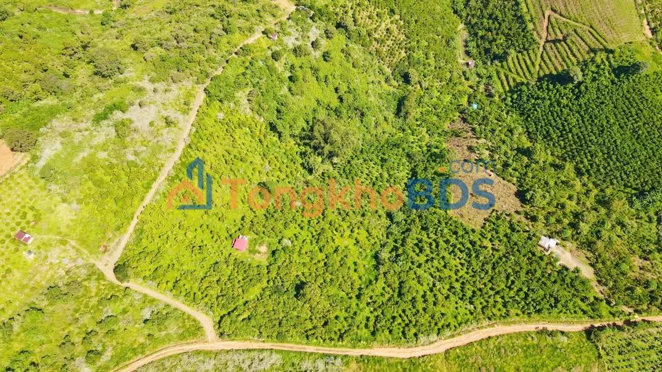 Đất thôn 15 Lộc Thanh 1ha 18 tỷ - Tiềm năng tăng giá