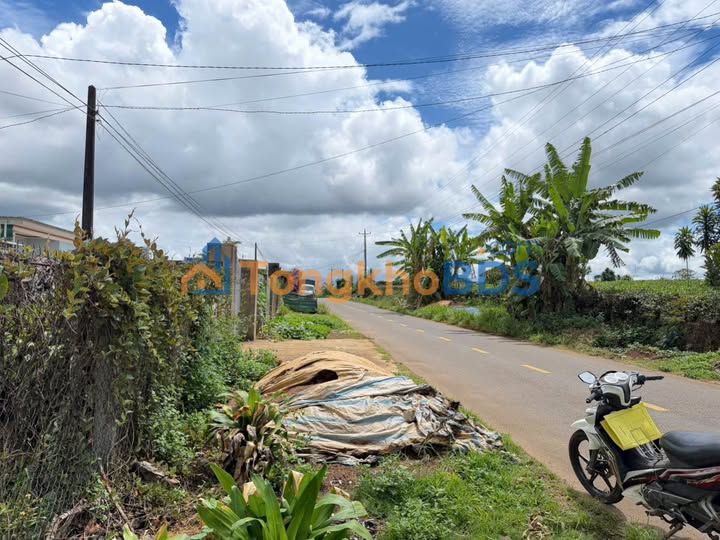 Đất nền Tứ Quý Lộc An 3000m² 4.2 tỷ - Sổ đỏ chính chủ