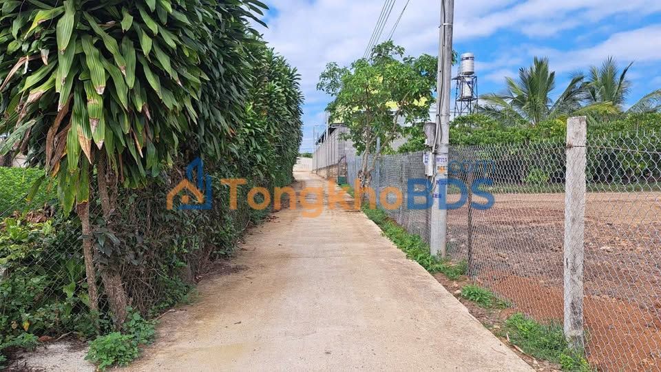 Đất nền Hẻm Đoàn Thị Điểm P1 Bảo Lộc 1.000m² 1,8 tỷ - Đường to ô tô