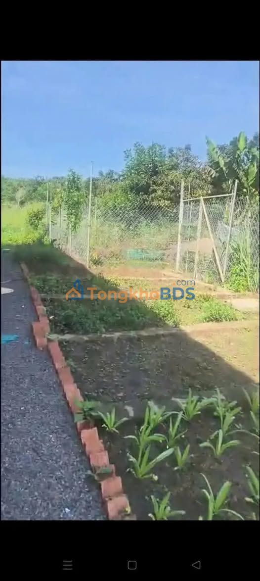 Đất nền Lộc Thành Bảo Lộc 1400m² 1.5 tỷ - Sổ đỏ chính chủ