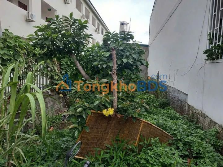 Đất Nền TP Bảo Lộc 110m² Sổ Đỏ Sẵn Sàng - Giá Đầu Tư 1.45 Tỷ