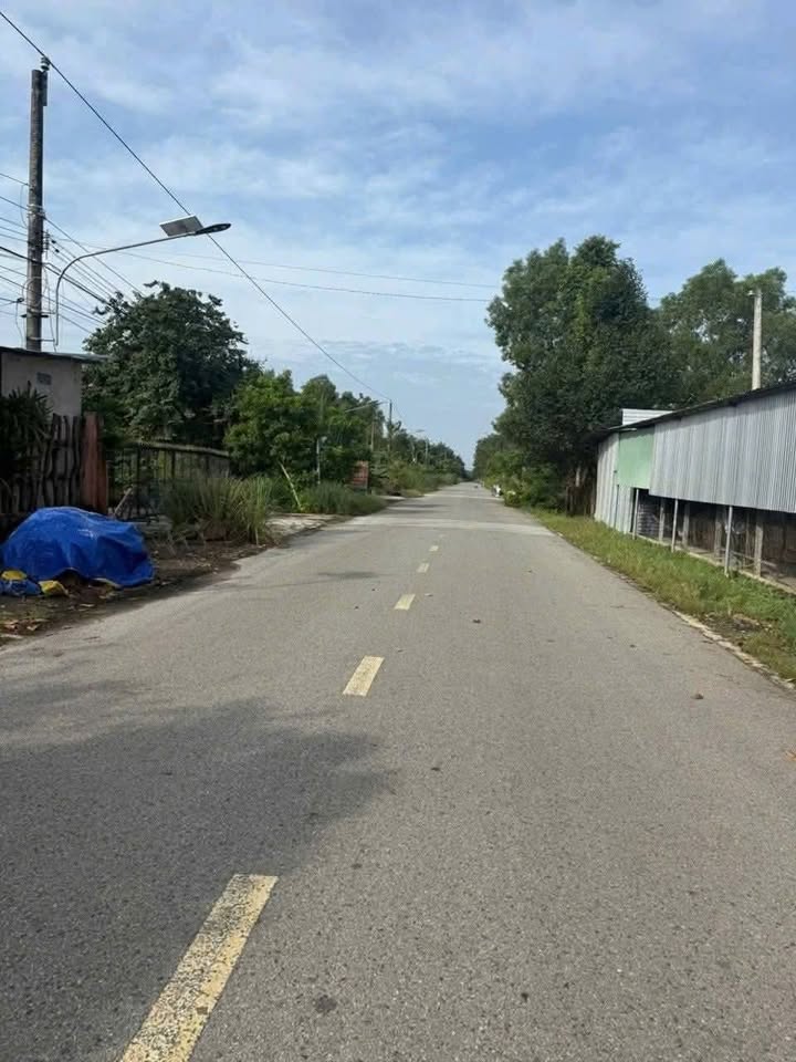 Đất Vườn Long Tân, Dầu Tiếng - 2400m² Sẵn Sổ Hồng