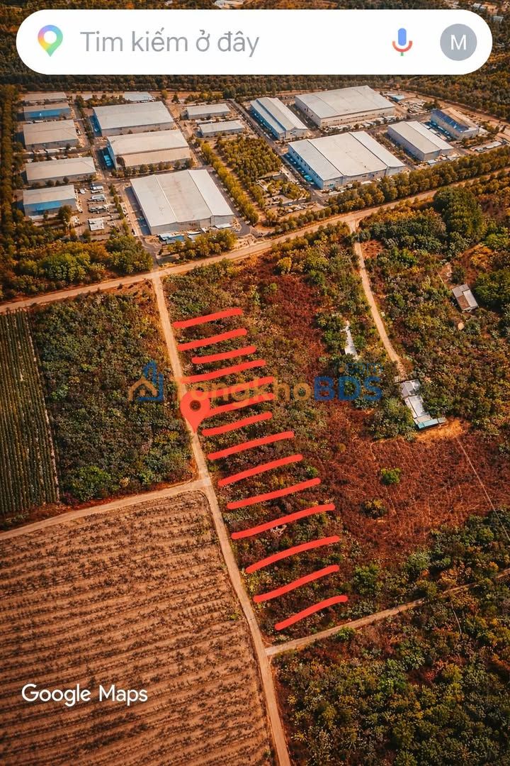 Đất Thổ Cư 100m² Mặt Tiền Đường, Đối Diện KCN Phú Mỹ - Đầu Tư Sinh Lời