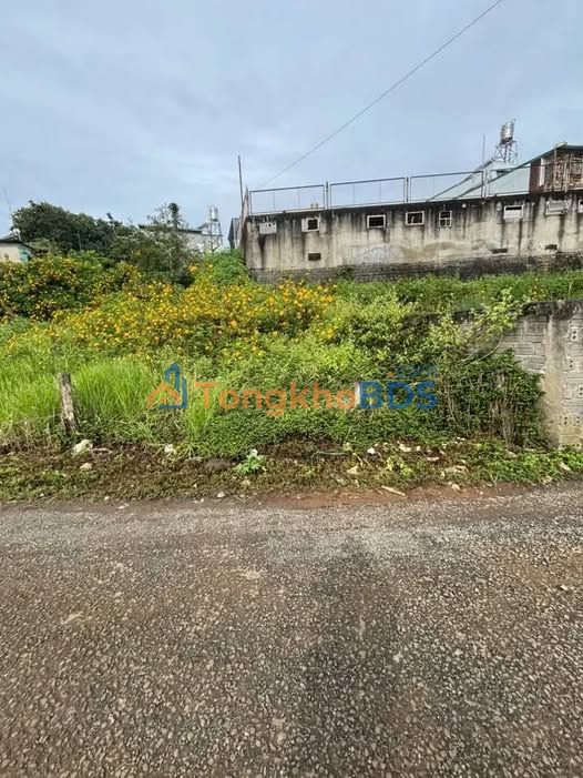 Đất Vàng Phường 1 Bảo Lộc 154m² - Sổ Sẵn Giá Ngộp 1.3 Tỷ