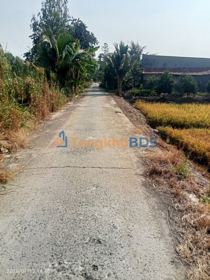 Đất nền Phường Mỹ Ngãi 1.125m² giá 679 triệu - Pháp lý rõ ràng